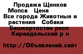 Продажа Щенков Мопса › Цена ­ 18 000 - Все города Животные и растения » Собаки   . Башкортостан респ.,Караидельский р-н